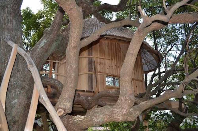 treehouse4