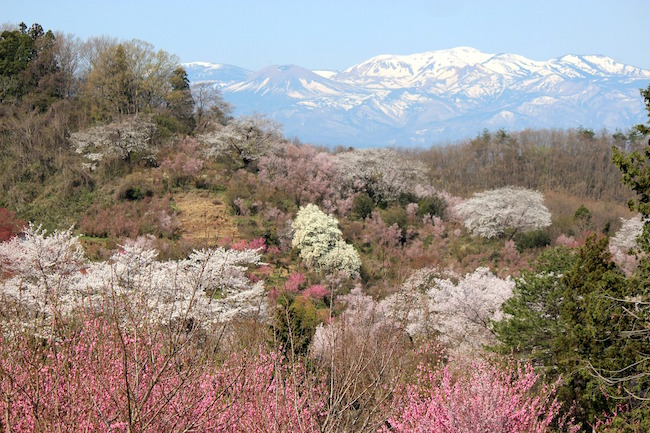 fukushima-722966_1280