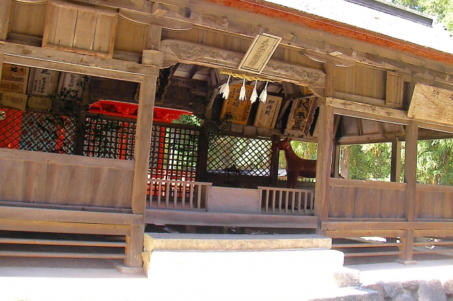 image (14)