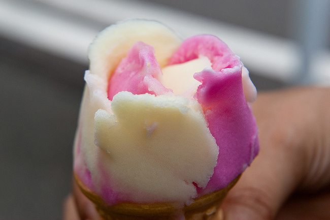 Akita Specialty : Babahera Ice Cream (????????