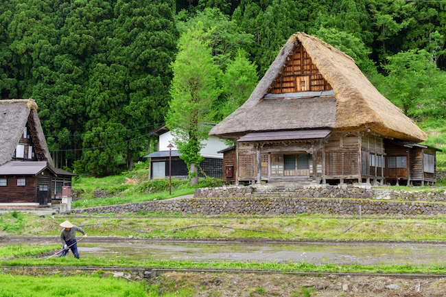shutterstock_444969892