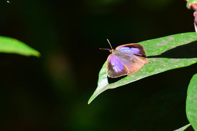 image13