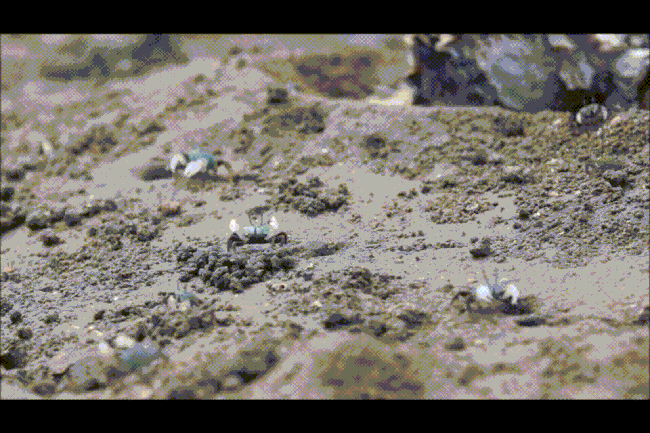 ezgif.com-resize (1)