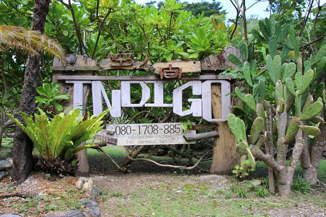 indigo_top_photo
