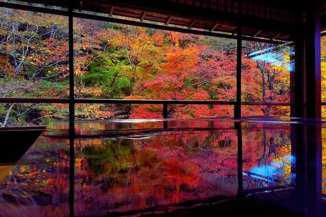 kyoto01